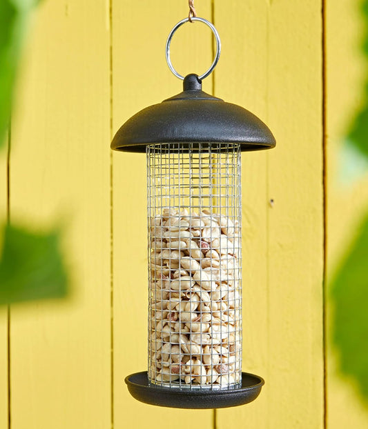 Dehner Natura Premium Wildvogelfutter, Halbe / Ganze Erdnüsse Schalenfrei, Ganzjahresfutter Proteinreich / Energiereich, Hochwertiges Vogelfutter Für Wildvögel, 10 Kg