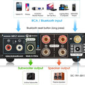 Douk Audio 320W Bluetooth 5.0 Hifi-Verstärker Empfänger 2.0-Kanal Stereo Power Amplifier Subwoofer Amp Mini Class D Integrierter Verstärker USB Music Player Für Passivlautsprecher Zu Hause (M1 PRO)