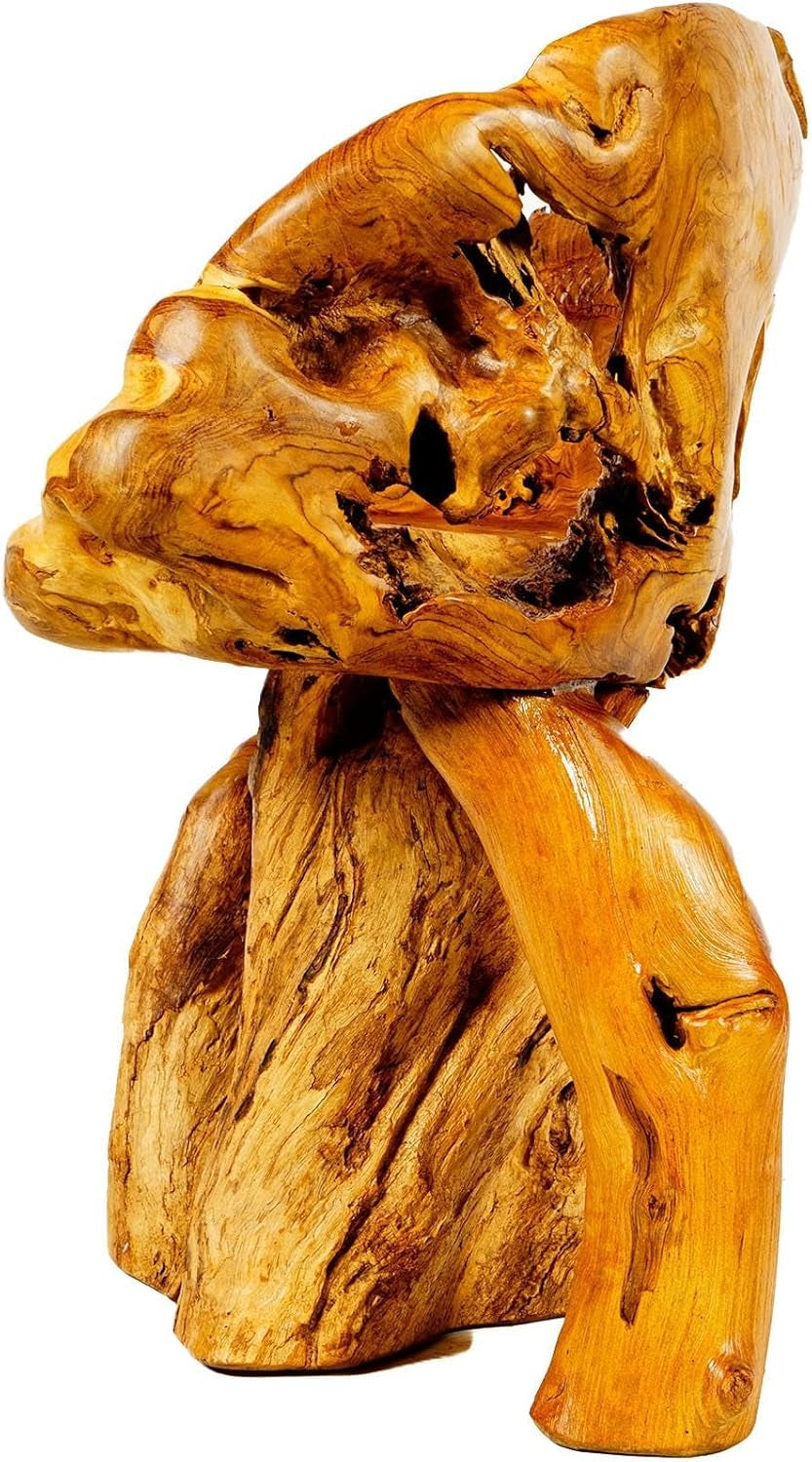 Windalf Massiver Gartenstuhl Mit Drachen NACHTSCHATTEN 80 Cm Holz-Hocker Handarbeit Wurzelholz