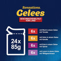 Felix Sensations Gelees Katzenfutter Nass in Gelee, Sorten-Mix, 4Er Pack (4 X 24 Beutel À 85G)