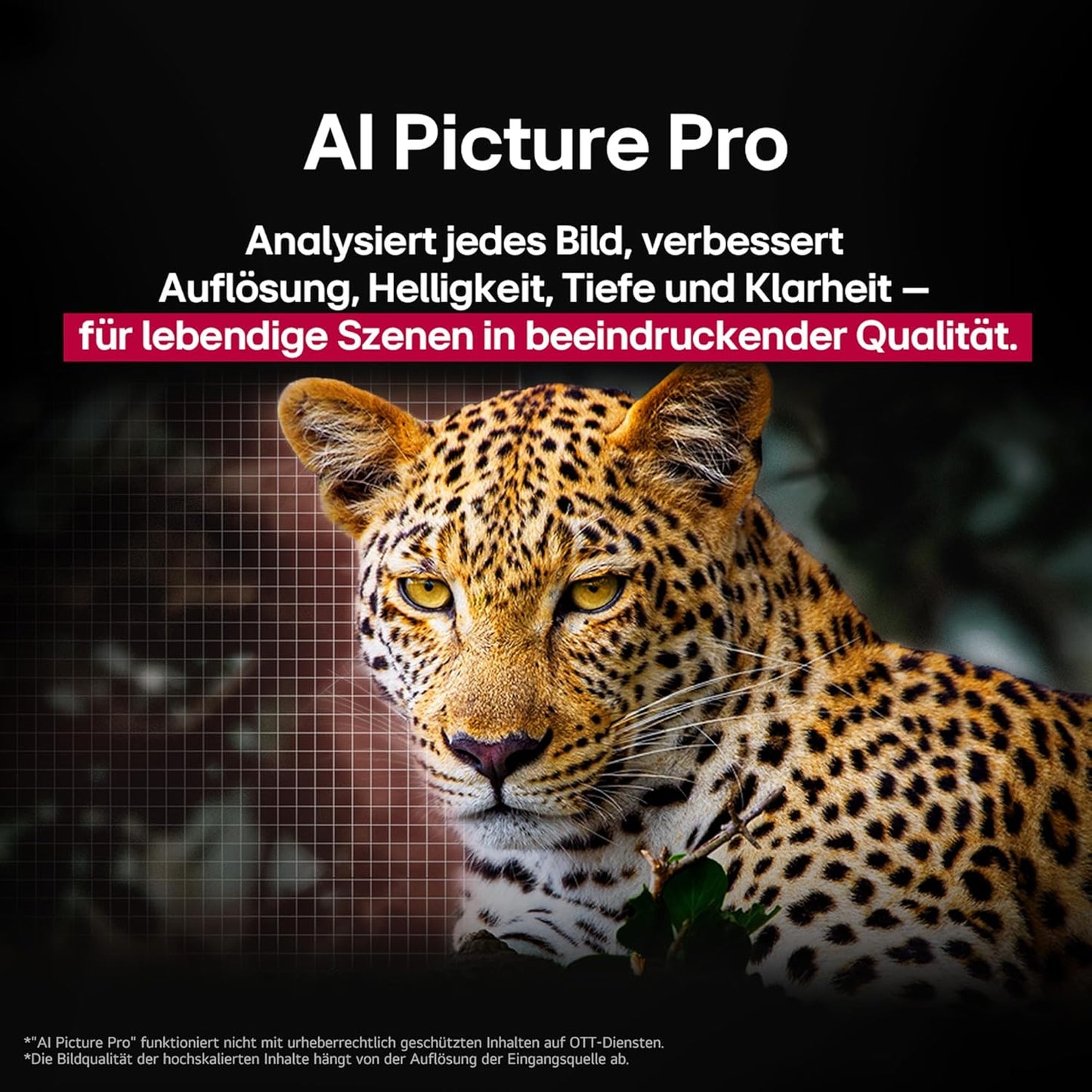 LG OLED77B59LA TV 77 Zoll (195 Cm) 4K OLED AI TV (Α8 Gen2 4K AI Prozessor, Webos 25, 120Hz) [Modelljahr 2025]