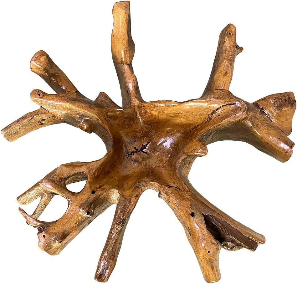 Teak Couchtisch ZONAS 80Cm Natural Massivholz Wohnzimmertisch Mit Glasplatte Wurzelholz