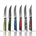 67 Layers Damascus Steel Japanese VG10 Blade 5 inch  Steak Knife