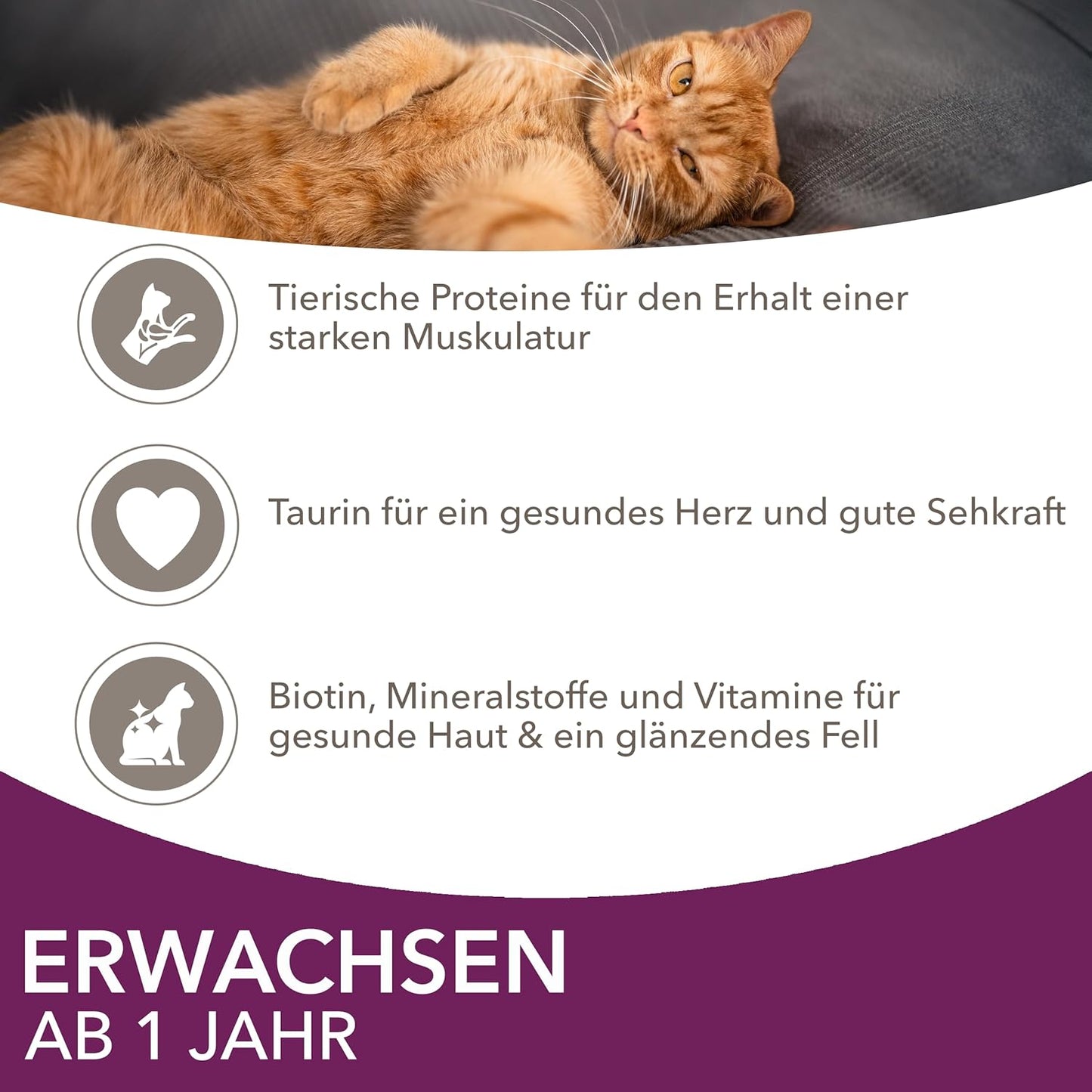 IAMS Delights Land & Sea Collection Katzenfutter Nass - Multipack Mit Fleisch Und Fisch Sorten in Sauce, Nassfutter Für Katzen Ab 1 Jahr, 72 X 85 G