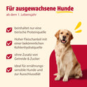 Animonda Grancarno Hunde Nassfutter Sensitiv Reines Huhn + Reis (6 X 800G), Getreidefreies Hundenassfutter Ohne Zucker, Für Ausgewachsene Hunde, Mit Frischen Fleischigen Zutaten