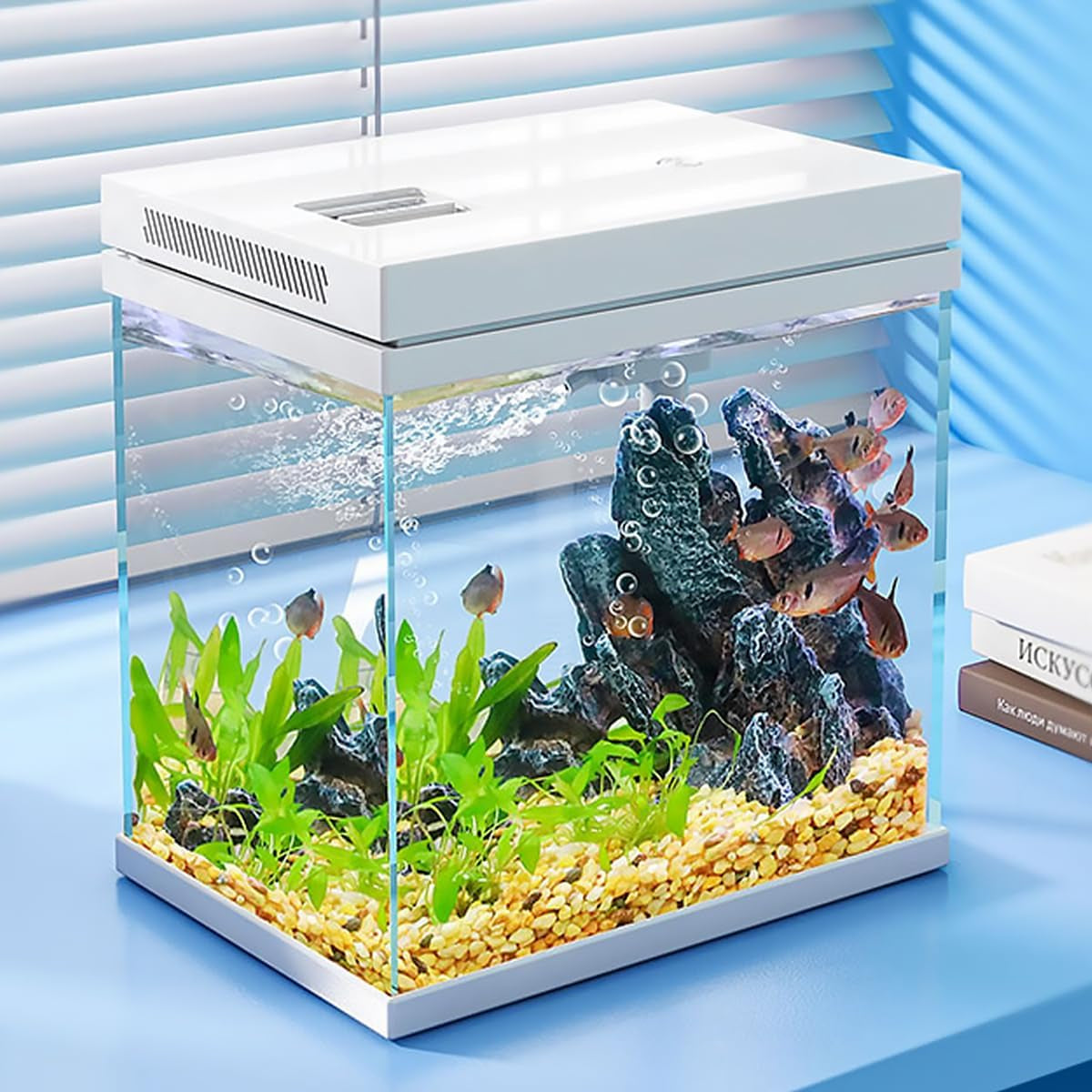 13.5L Nano Fischtank Aquarium Mit Led-Leuchten & Filtersystem, Filtermedien, Tropischeaquarien (13.5L)