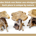 Kinaree Holz Beistelltisch ALOR Setar - Durchmesser Ca. 50-55Cm Beistelltisch Aus Teak Massivholz in Rustikaler Optik, Mit Tischplatte Aus Wurzelholz Baumscheibe (50X50X50Cm)
