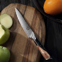 Damascus Grain Steel Knife High Hardness Grinding Free Hand Forging Collection Grain Knife Fruit Knife