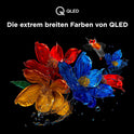 TCL 75T8C 75 Zoll QLED 4K HDR UHD Fernseher, Smart Google TV Dolby Vision Atmos,144Hz Motion Clarity Pro, Game Bar, ALLM, Freesync, Onkyo 2.1 Sound,Sprachsteuerung, Kompatibel Mit Google Assistant