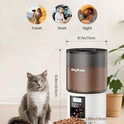 Futterautomat Katze & Hund 4L Pet Feeder Cat Mit Timer & Portionskontrolle 1-6 Mahlzeiten Pro Tag Trockenfutterspender Hunde Mit 10S Aufnahmefunktion Für Kleine/Mittlere Haustiere