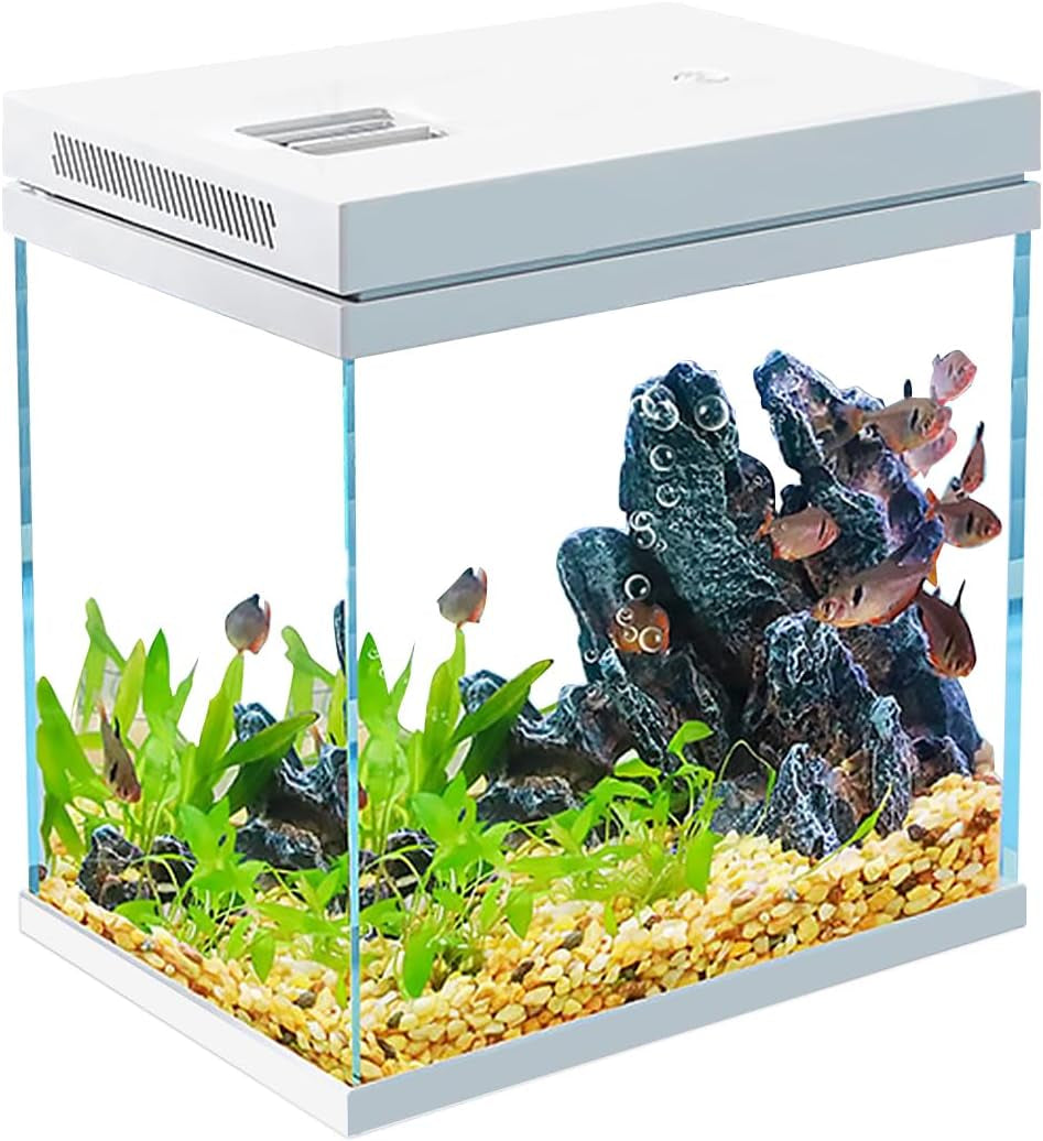 13.5L Nano Fischtank Aquarium Mit Led-Leuchten & Filtersystem, Filtermedien, Tropischeaquarien (13.5L)