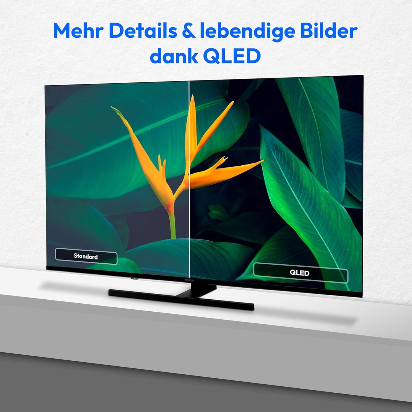 MEDION 138,8 Cm (55 Zoll) QLED Fernseher (Smart TV, 4K, Dolby Vision HDR, Prime Video, Disney+, Dolby Atmos, DTS X, Kompatibel Mit Google TV, PVR, Bluetooth, MD 855700)
