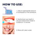 Ginseng Propolis White Toothpaste, Cleaning Stains Bad Breath, Teeth And Gums Care White Toothpaste