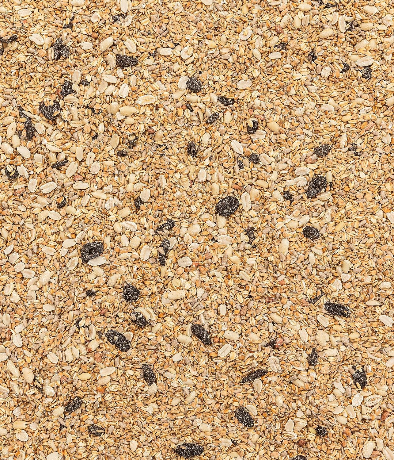 Dehner Natura Premium Wildvogelfutter, Streufutter Schalenfrei, Ganzjahresfutter Proteinreich / Energiereich, Hochwertiges Vogelfutter Für Wildvögel, 10 Kg