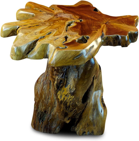 Kinaree Holz Beistelltisch ALOR Setar - Durchmesser Ca. 50-55Cm Beistelltisch Aus Teak Massivholz in Rustikaler Optik, Mit Tischplatte Aus Wurzelholz Baumscheibe (50X50X50Cm)