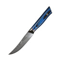 67 Layers Damascus Steel Japanese VG10 Blade 5 inch  Steak Knife