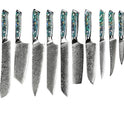 Professional Damascus VG 10 Steel Core 67 layers stainless steel Abalone handle kitchen knives set