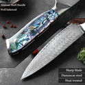 XITUO Damascus Steel Chef Knife Set Fine1-5 PCS Kitchen Knives Abalone shell handle Santoku knife