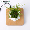 Hot Sale Levitating Air Bonsai Pot Rotation Planters Magnetic Levitation Suspension Flower Floating Pot Potted Plant Desk Decor