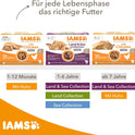 IAMS Delights Land & Sea Collection Katzenfutter Nass - Multipack Mit Fleisch Und Fisch Sorten in Sauce, Nassfutter Für Katzen Ab 1 Jahr, 72 X 85 G