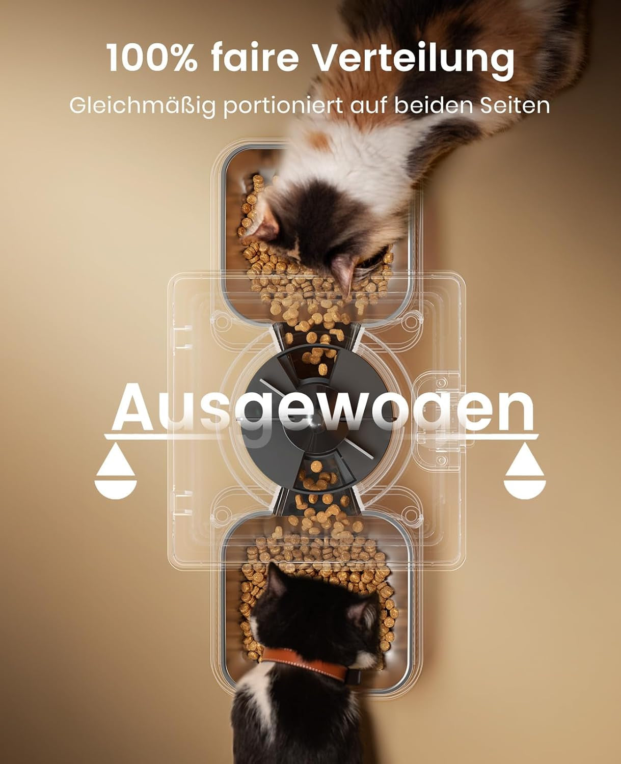 Oneisall 5L Futterautomat Katze 2 Näpfe, Katzenfutter Automat Mit Einem Knopf, Einfache Bedienung, Futterspender Für Katzen/Hunde, Mit Edelstahlschüssel, Voice Recorder, Für Kleine/Mittlere Haustiere