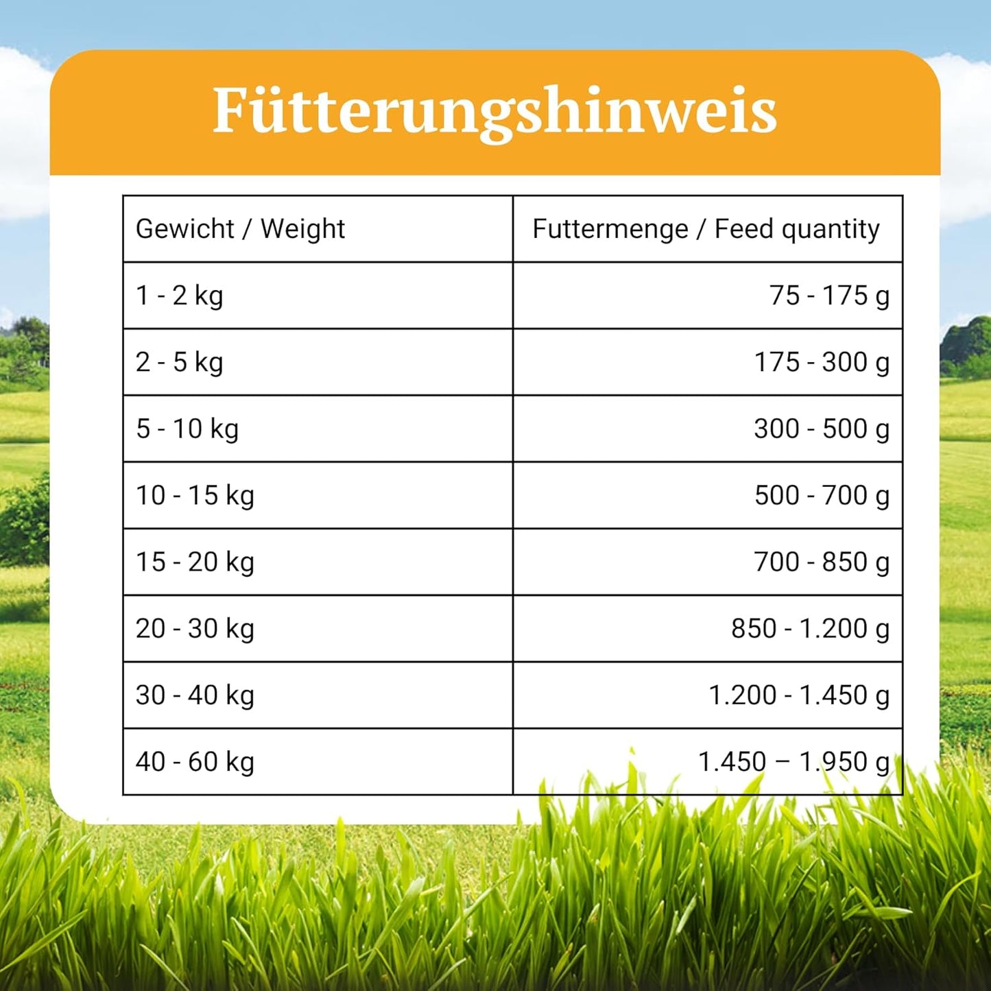 Bellfor Landgut-Menü Hochwertiges Getreidefreies Hypoallergenes Nass-Hundefutter Mit Insekten, 6 X 800 G - Diätfutter Mit Hoher Verdaulichkeit Ohne Tierische Nebenerzeugnisse