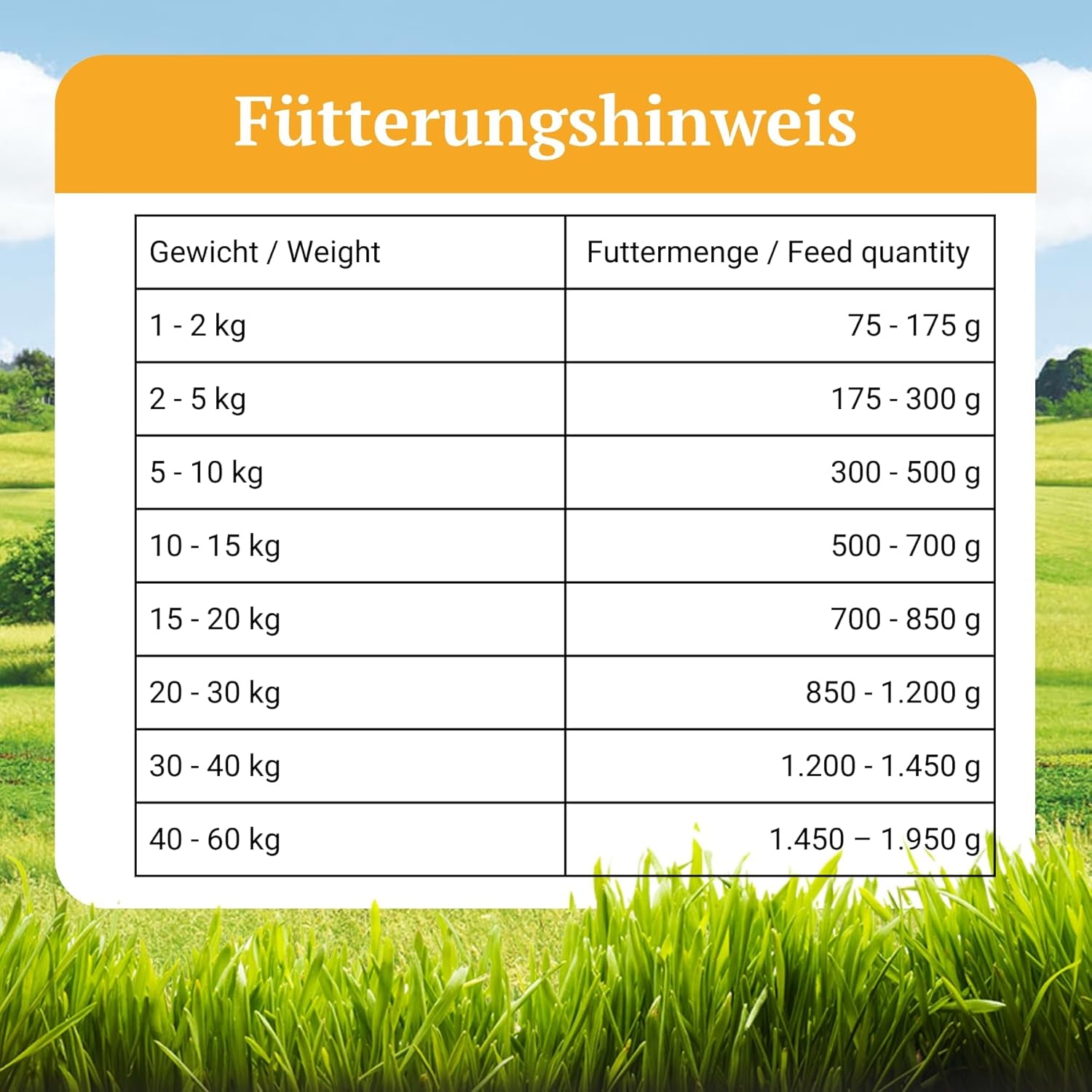 Bellfor Landgut-Menü Hochwertiges Getreidefreies Hypoallergenes Nass-Hundefutter Mit Insekten, 6 X 800 G - Diätfutter Mit Hoher Verdaulichkeit Ohne Tierische Nebenerzeugnisse
