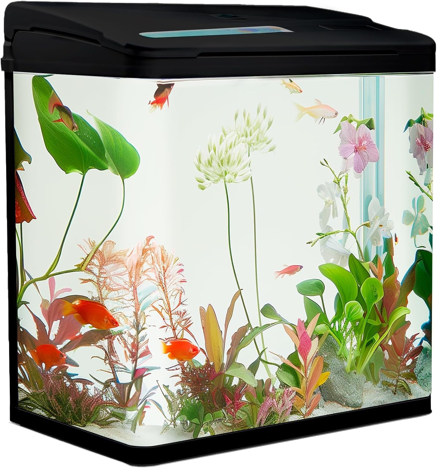 Aquarium Komplettset 30 Liter | Mit Led-Beleuchtung, Pumpe & Filter | 38X24X43 Cm Glasbecken | Gebogene Frontscheibe Für Panoramablick | Nano Aquarium Für Fische & Pflanzen | Schwarz
