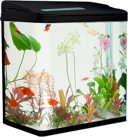 Aquarium Komplettset 30 Liter | Mit Led-Beleuchtung, Pumpe & Filter | 38X24X43 Cm Glasbecken | Gebogene Frontscheibe Für Panoramablick | Nano Aquarium Für Fische & Pflanzen | Schwarz