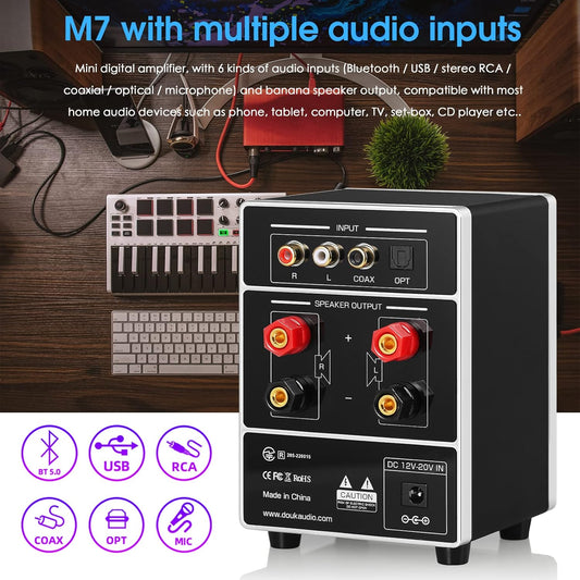 Hifi Dual MIC Digital Verstärker Bluetooth Empfänger USB Player S/PDIF Audio Power Amplifier Karaoke-Verstärker Mit Mikrofon (Ac-Eingang)