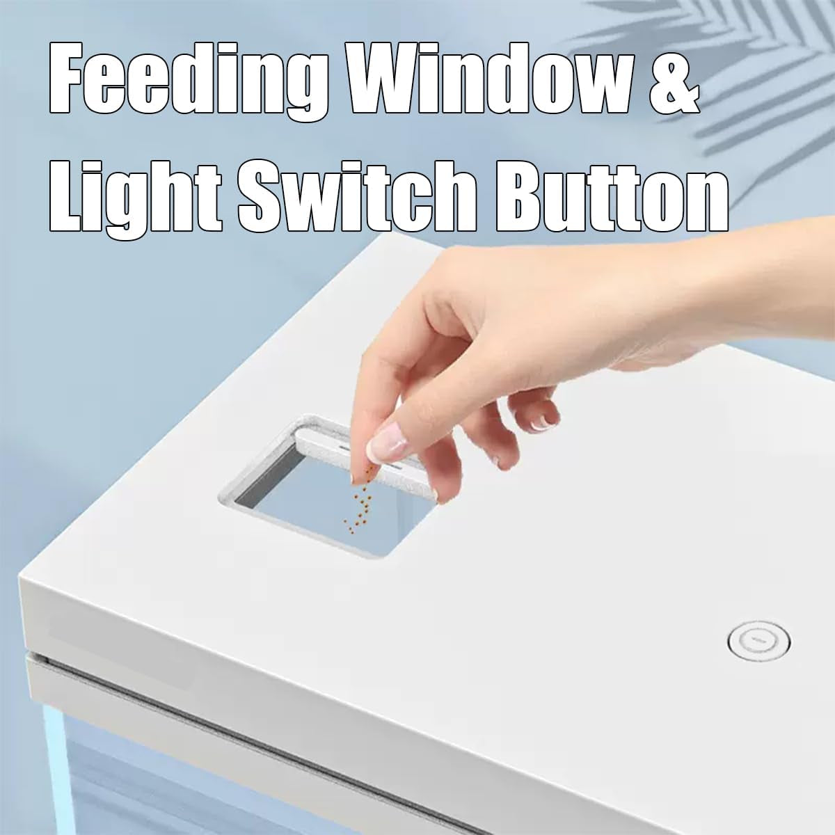 13.5L Nano Fischtank Aquarium Mit Led-Leuchten & Filtersystem, Filtermedien, Tropischeaquarien (13.5L)